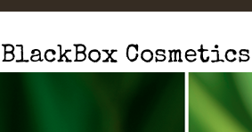 BlackBox Cosmetics Review