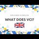 What Is VCI? | English