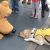 Guide Dog Meets Pluto At Disneyland, Can’t Control His Excitement